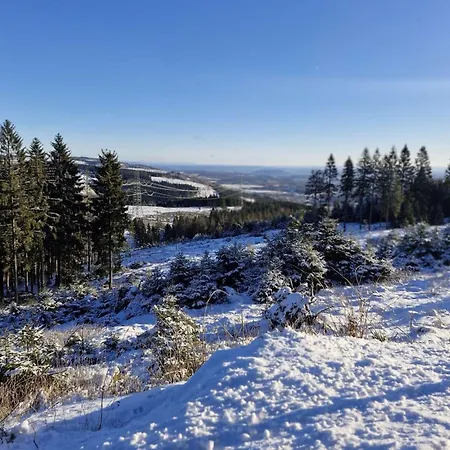 Apartment Am Blessberg In Stelzen Eisfeld