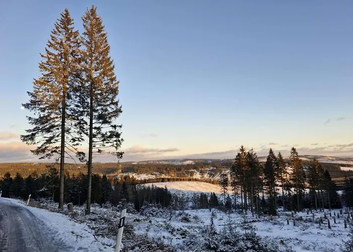 Appartement Am Blessberg In Stelzen *